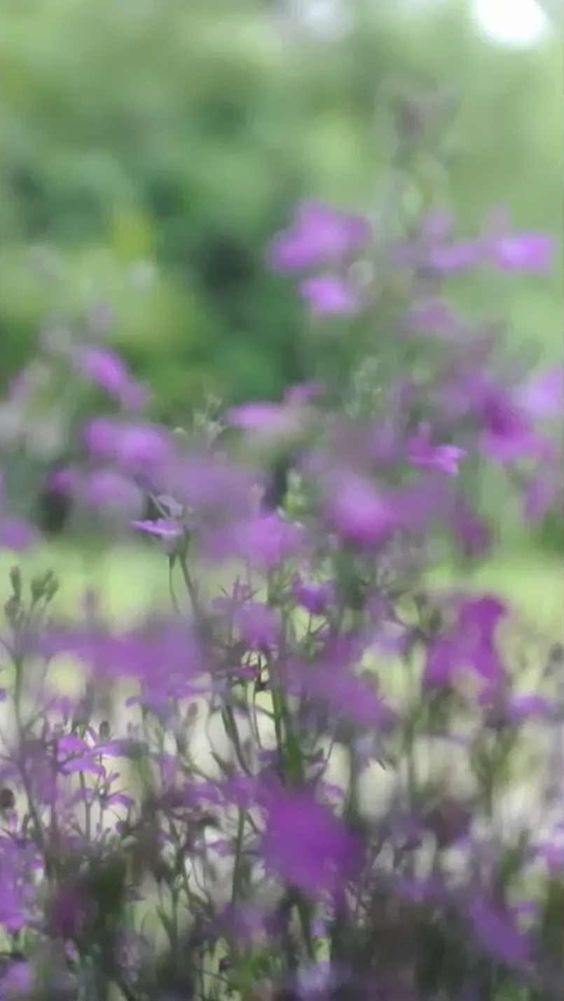 bild:&nbsp; ausklang am fleet - exhibition view