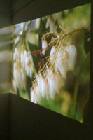 bild:&nbsp; ausklang am fleet - exhibition view