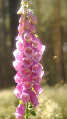 bild:&nbsp; kunst und ateliertage - video still